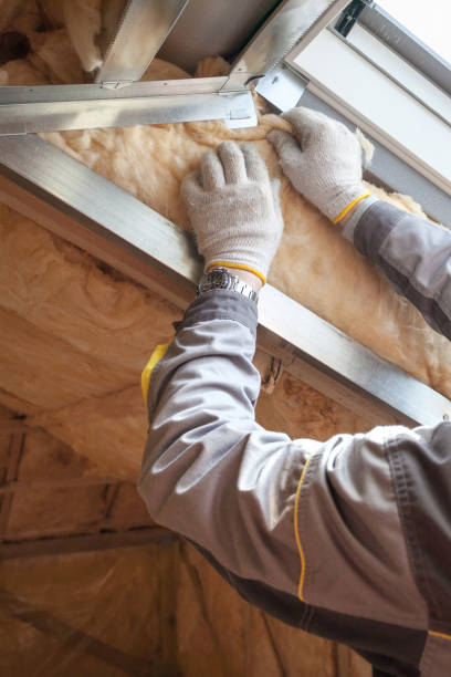 Best Cellulose Insulation in Mattawan, MI